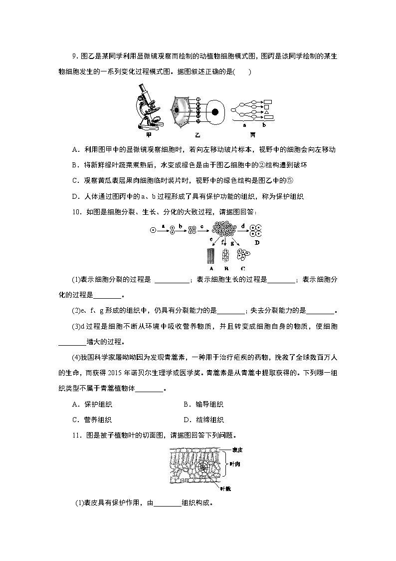 专题训练--细胞和生物体的结构层次03