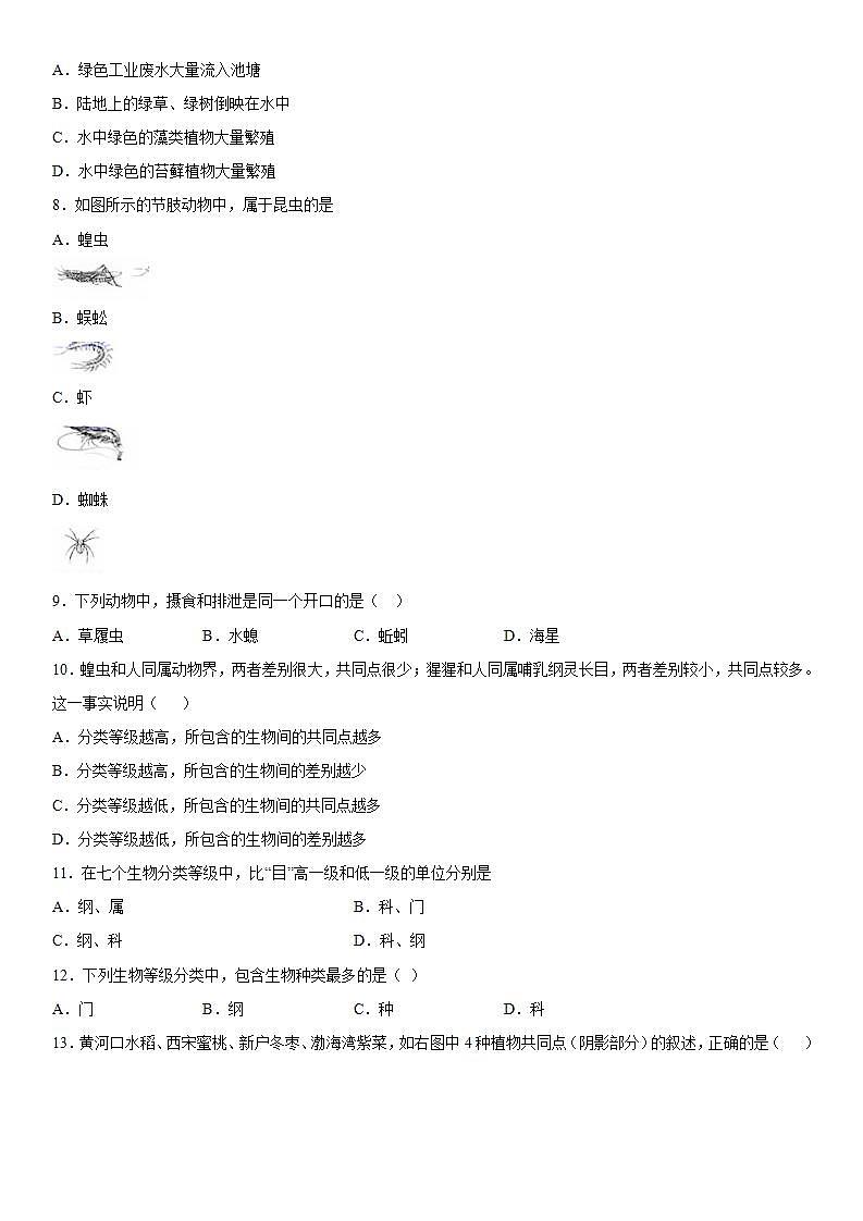 第二章生物的主要类群巩固练习（1）2020-2021学年华师大版科学七年级上册第2页