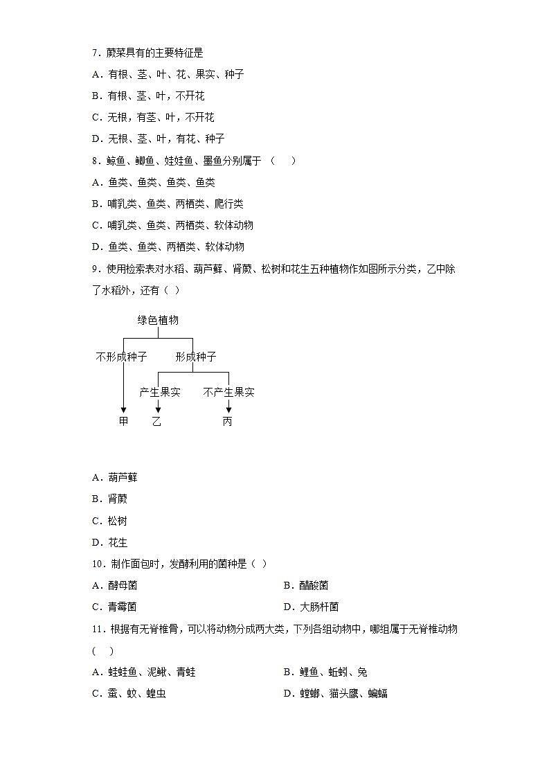第二章生物的主要类群巩固练习（4）2020-2021学年华师大版科学七年级上册第2页