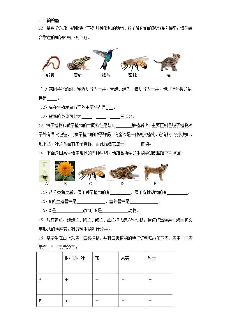 第二章生物的主要类群巩固练习（4）2020-2021学年华师大版科学七年级上册第3页