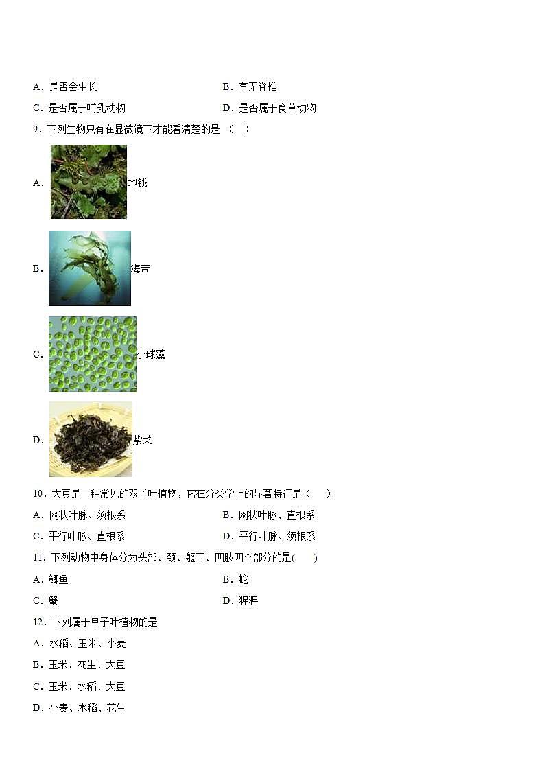 第二章生物的主要类群巩固练习（3）2020-2021学年华师大版科学七年级上册第3页