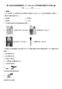 初中科学华师大版八年级上册第2章  压力  压强综合与测试课后练习题