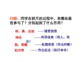 2021-2022学年度浙教版八年级科学上册课件 第3节 神经调节