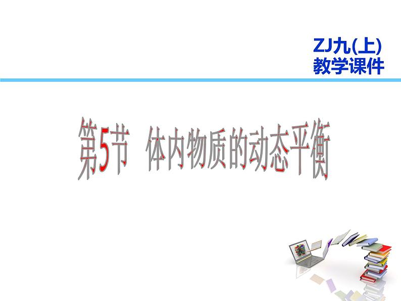 体内物质的动态平衡PPT课件免费下载01