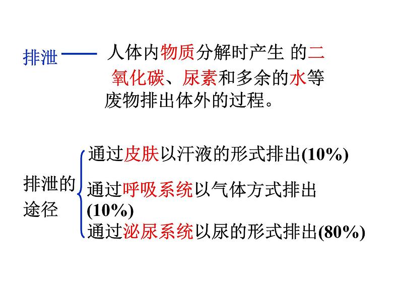 体内物质的动态平衡PPT课件免费下载08