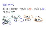 几种重要的盐PPT课件免费下载