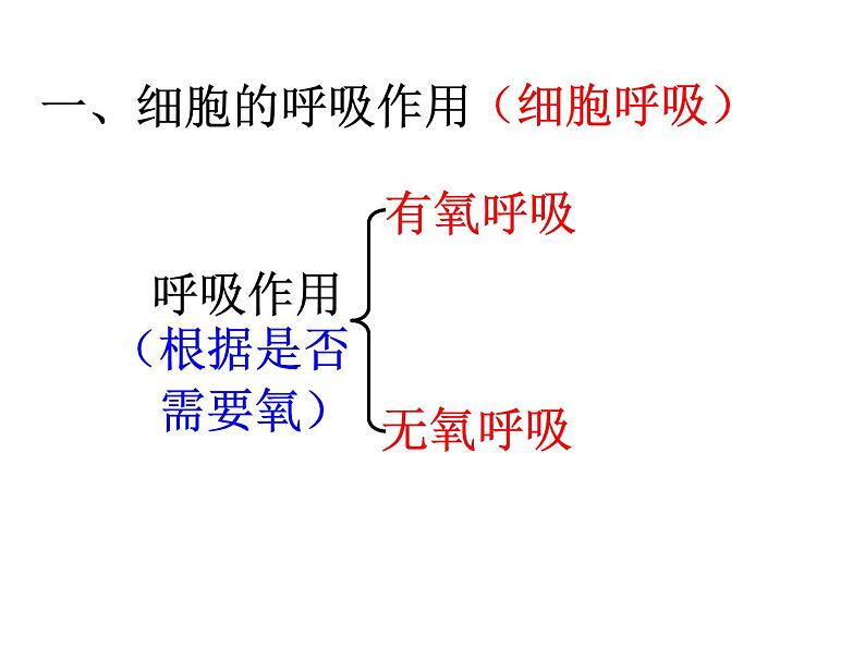 能量的获得PPT课件免费下载05