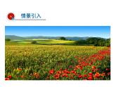 2021-2022学年年浙教版八年级科学下册课件第1节   土壤的成分