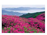 2021-2022学年年浙教版八年级科学下册课件第1节   土壤的成分