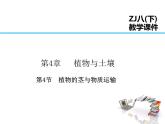 2021-2022学年年浙教版八年级科学下册课件 第4节  植物的茎与物质运输
