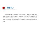 2021-2022学年年浙教版八年级科学下册课件 第4节  植物的茎与物质运输