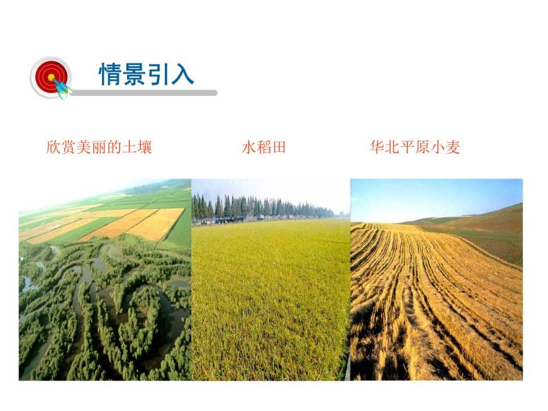 2021-2022学年年浙教版八年级科学下册课件 第6节  保护土壤02