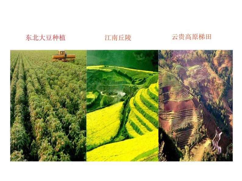 2021-2022学年年浙教版八年级科学下册课件 第6节  保护土壤03