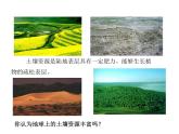 2021-2022学年年浙教版八年级科学下册课件 第6节  保护土壤