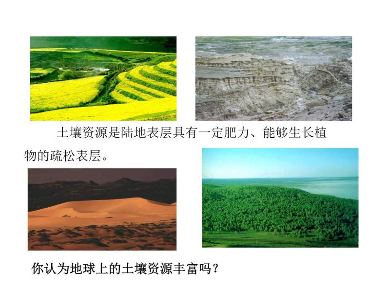 2021-2022学年年浙教版八年级科学下册课件 第6节  保护土壤04