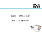 2021-2022学年年浙教版八年级科学下册课件 第2节  各种各样的土壤