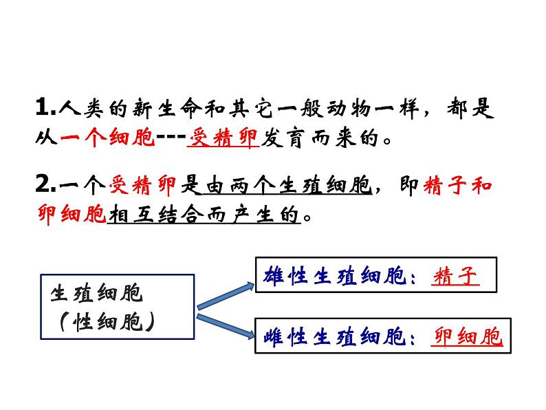 2021-2022学年年浙教版七年级科学下册课件  第1节 新生命的诞生第3页