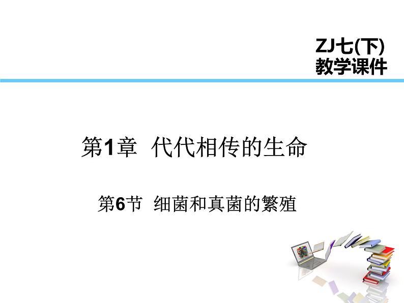 2021-2022学年年浙教版七年级科学下册课件 第6节  细菌和真菌的繁殖01