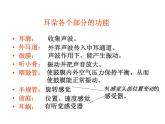 2021-2022学年年浙教版七年级科学下册课件 第3节  耳和听觉