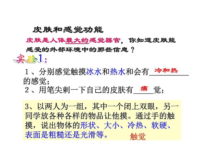 2021-2022学年年浙教版七年级科学下册课件 第1节  感觉世界第8页