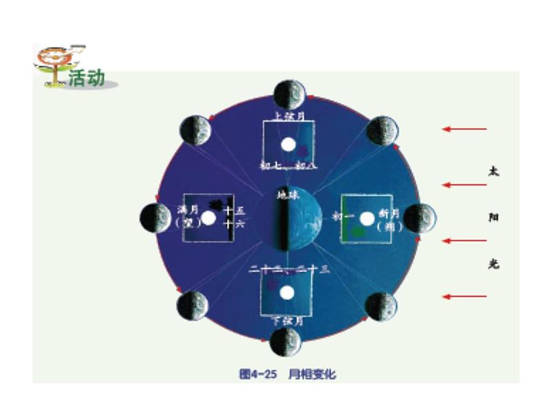 2021-2022学年年浙教版七年级科学下册课件 第4节  月相06