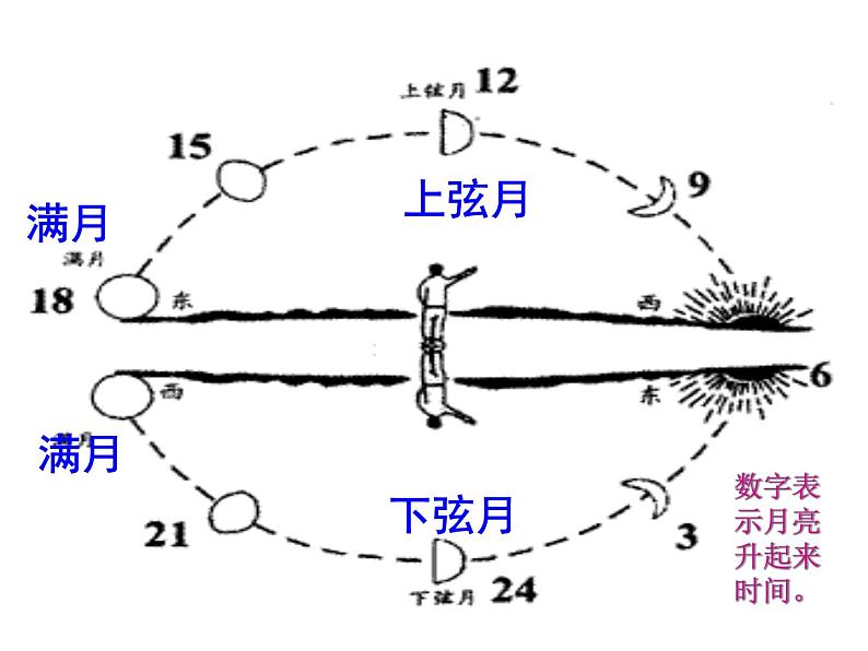 2021-2022学年年浙教版七年级科学下册课件 第4节  月相第7页