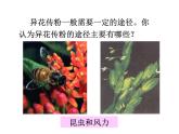 2021-2022学年年浙教版七年级科学下册课件 第5节  植物生殖方式的多样性