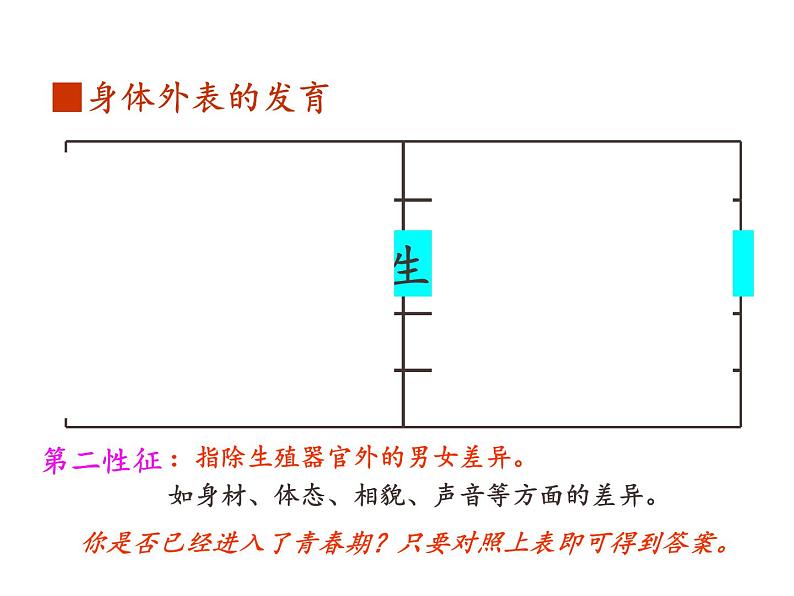 2021-2022学年年浙教版七年级科学下册课件  第2节  走向成熟第7页