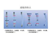 2021-2022学年年浙教版七年级科学下册课件  第6节  透镜和视觉