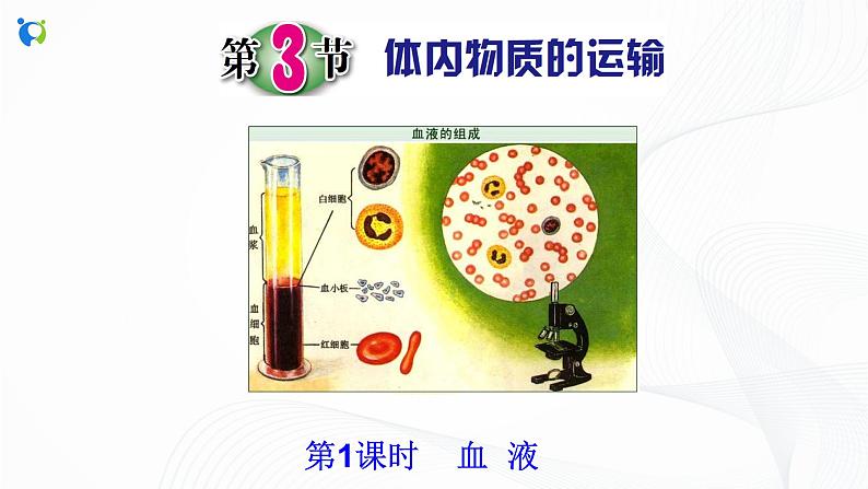 浙教版科学九年级上册 第4章 第3节 体内物质的运输（第1课时）课件PPT+教案+练习02