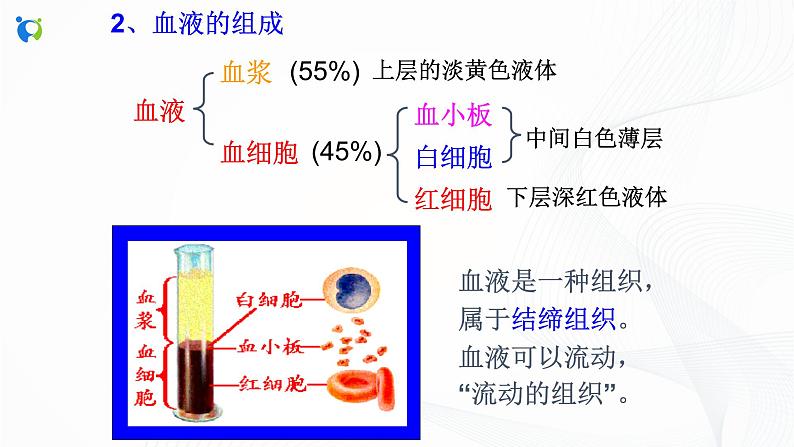 浙教版科学九年级上册 第4章 第3节 体内物质的运输（第1课时）课件PPT+教案+练习05
