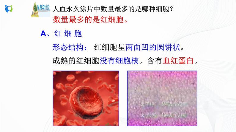 浙教版科学九年级上册 第4章 第3节 体内物质的运输（第1课时）课件PPT+教案+练习08