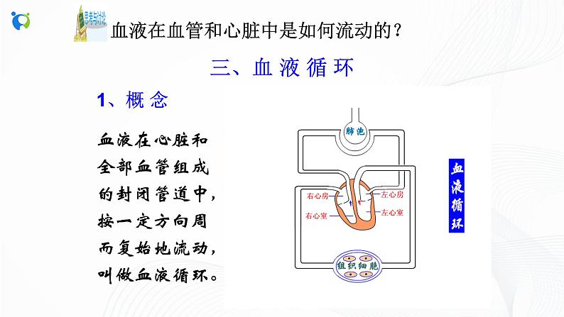 浙教版科学九年级上册 第4章 第3节 体内物质的运输（第3课时）课件PPT+教案+练习03