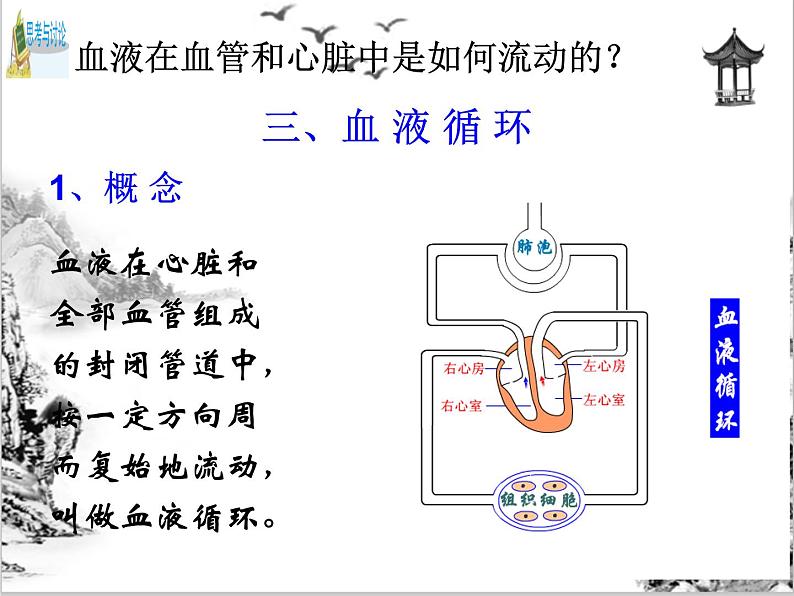 浙教版科学九年级上册 第4章 第3节 体内物质的运输（第3课时）课件PPT+教案+练习02