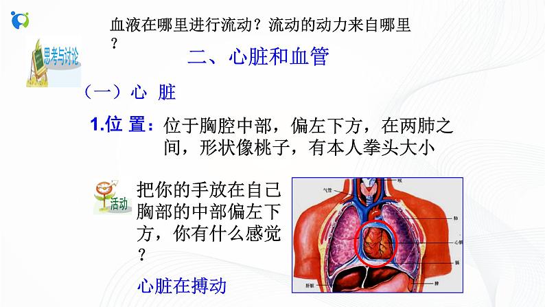 浙教版科学九年级上册 第4章 第3节 体内物质的运输（第2课时）课件PPT+教案+练习04