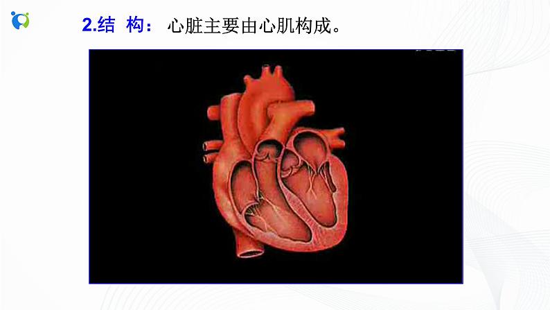 浙教版科学九年级上册 第4章 第3节 体内物质的运输（第2课时）课件PPT+教案+练习05