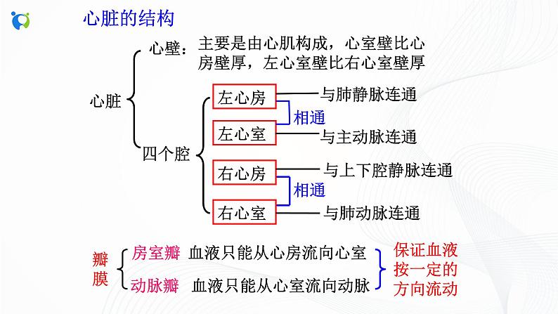浙教版科学九年级上册 第4章 第3节 体内物质的运输（第2课时）课件PPT+教案+练习08