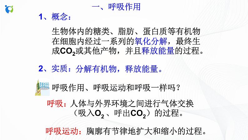 浙教版科学九年级上册 第4章 第4节 能量的获得 课件PPT+教案+练习03