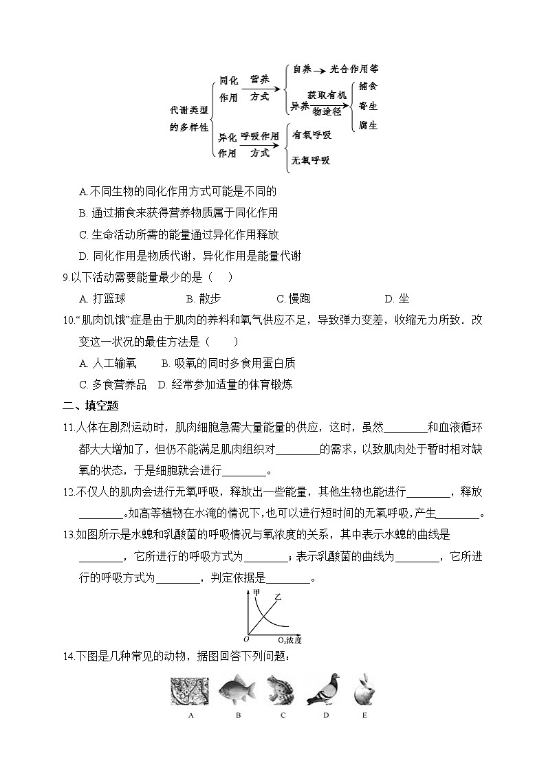 浙教版科学九年级上册 第4章 第4节 能量的获得 课件PPT+教案+练习02