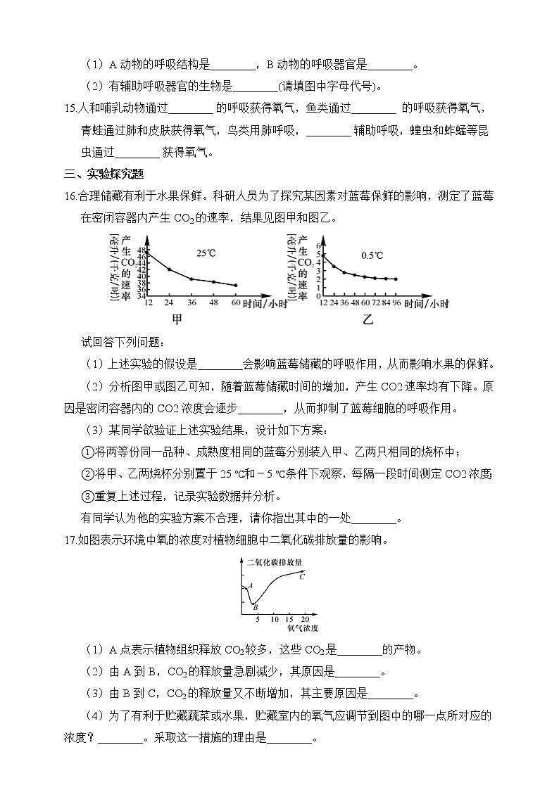 浙教版科学九年级上册 第4章 第4节 能量的获得 课件PPT+教案+练习03