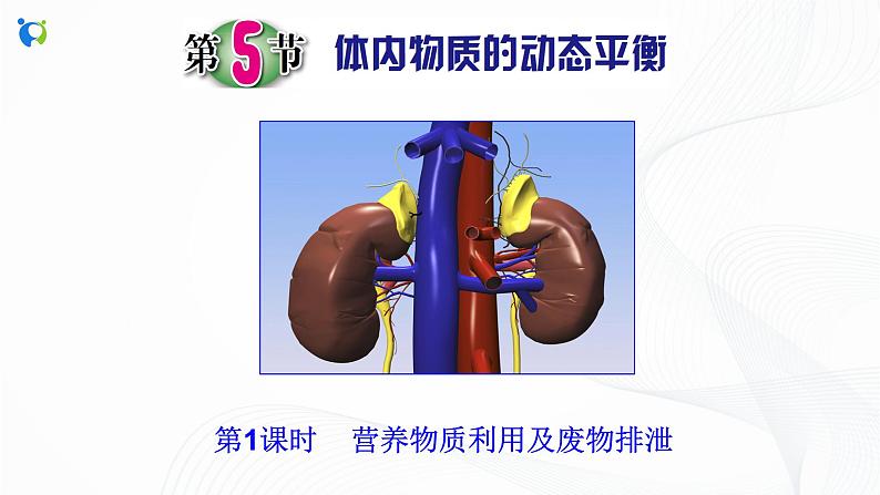 浙教版科学九年级上册 第4章 第5节 体内物质的动态平衡（第1课时）课件PPT+教案+练习02