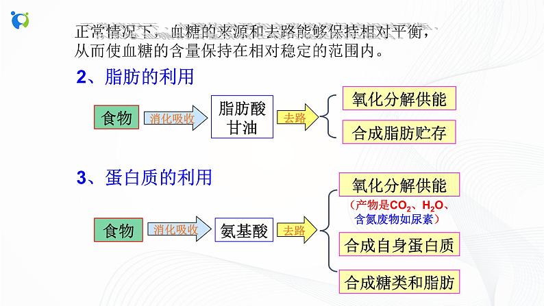 浙教版科学九年级上册 第4章 第5节 体内物质的动态平衡（第1课时）课件PPT+教案+练习05