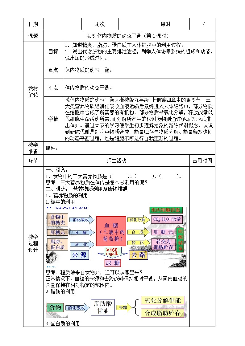 浙教版科学九年级上册 第4章 第5节 体内物质的动态平衡（第1课时）课件PPT+教案+练习01