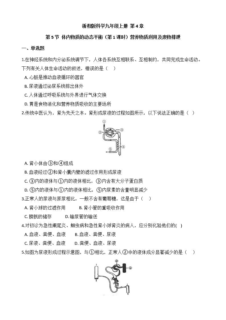 浙教版科学九年级上册 第4章 第5节 体内物质的动态平衡（第1课时）课件PPT+教案+练习01