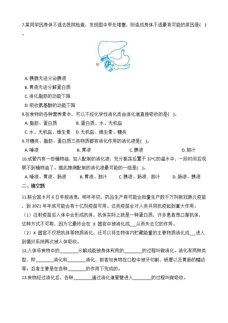 浙教版科学九年级上册 第4章 第2节 食物的消化与吸收（第2课时）课件PPT+教案+练习02