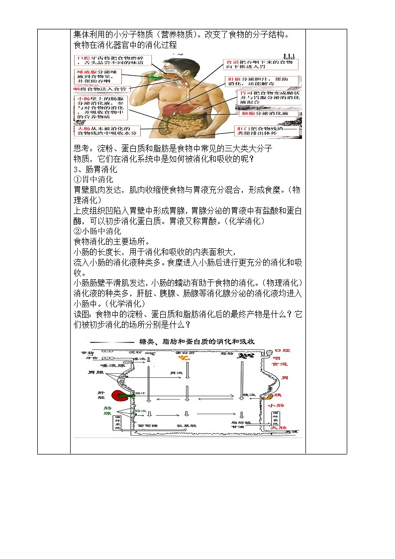 浙教版科学九年级上册 第4章 第2节 食物的消化与吸收（第2课时）课件PPT+教案+练习02