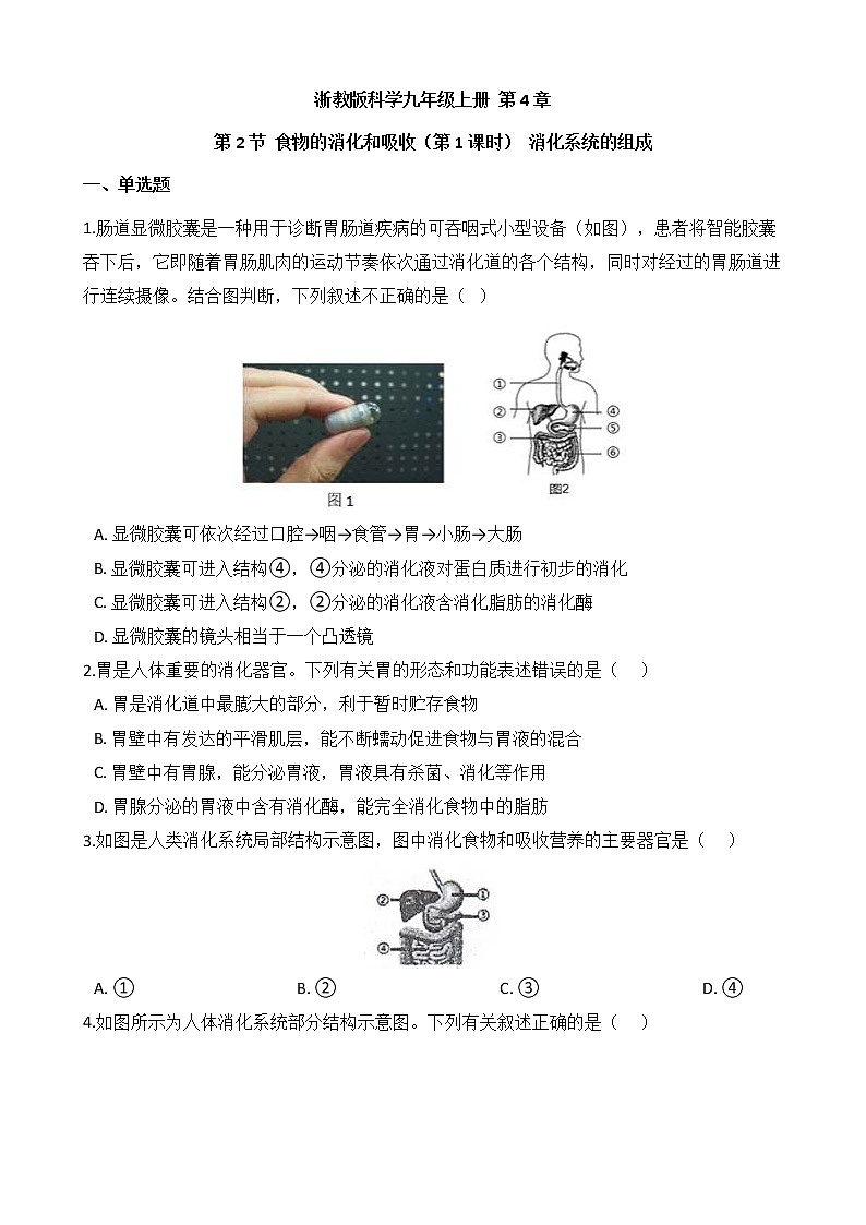 浙教版科学九年级上册 第4章 第2节 食物的消化与吸收（第1课时）课件PPT+教案+练习01