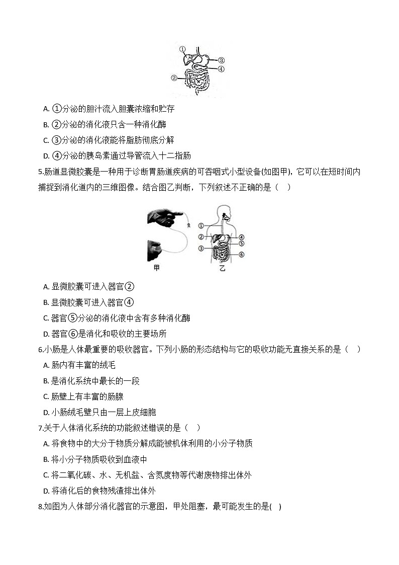 浙教版科学九年级上册 第4章 第2节 食物的消化与吸收（第1课时）课件PPT+教案+练习02