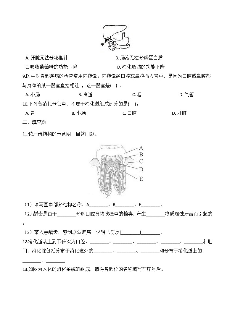 浙教版科学九年级上册 第4章 第2节 食物的消化与吸收（第1课时）课件PPT+教案+练习03