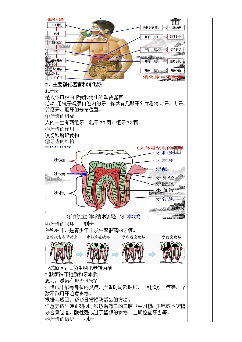 浙教版科学九年级上册 第4章 第2节 食物的消化与吸收（第1课时）课件PPT+教案+练习02